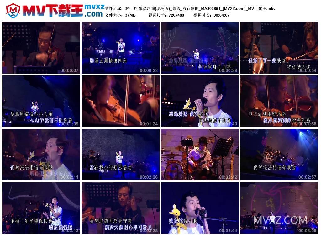 林一峰-象鼻尾猫(现场版)_粤语_流行歌曲_MA303851